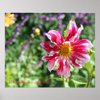 開花の植栽ポスター ポスター