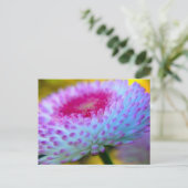 開花の花 ポストカード (スタンド正面)