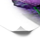 開花の輝き：フラワーケイトby Carole Beniachi ポスター (コーナー)