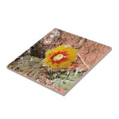 開花の黄色および赤いサボテンの花 タイル (側面)