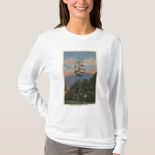 開花のCaliforniaCenturyの植物 Tシャツ (正面)