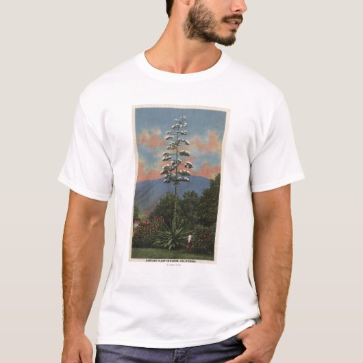 開花のCaliforniaCenturyの植物 Tシャツ (正面)