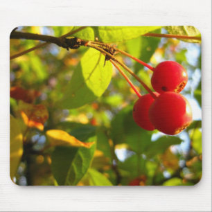 開花のCrabappleの秋のマウスパッド マウスパッド
