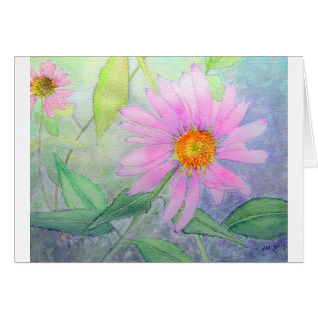 開花のEchinacea (正面横)