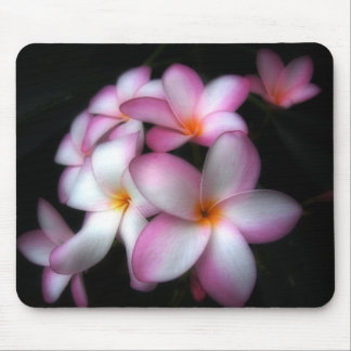 開花のFrangipani マウスパッド