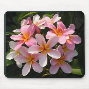 開花のPlumerias マウスパッド