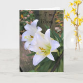 開花までの時間 – 白ユリ カード (黄色い花)