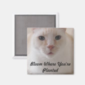 開花を植え付けるイメージマグネット マグネット (正面/裏面)