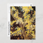 開花アカシアの枝ビンセント・ヴァン・ゴッホ。 ポストカード (正面/裏面)