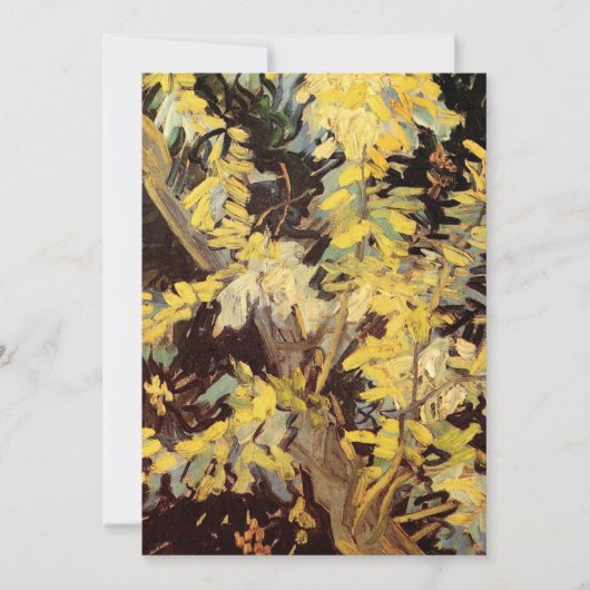 開花アカシアブランチbyビンセント・ヴァン・ゴッホ (正面)