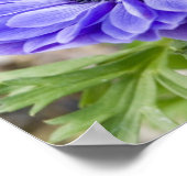 開花アスタープリント ポスター (角)