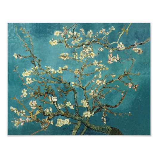 開花アーモンドツリー – ヴァンゴッホ フォトプリント (正面)