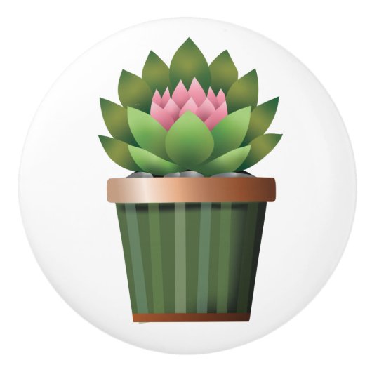 開花エオニウム セラミックノブ (正面)