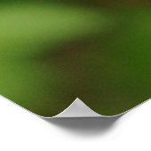 開花カンデラブラプリムラ ポスター (角)