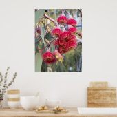 開花ガム ポスター (キッチン)