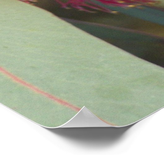 開花ガム ポスター (角)