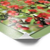 開花クインズレッドフラップス鏡抽象芸術8x10 フォトプリント            (角)