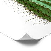 開花サボテンNo2ヴィンテージ自然史プリント ポスター (角)