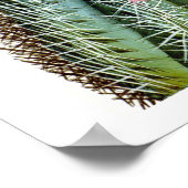 開花サボテンNo6ヴィンテージ自然史プリント ポスター (角)