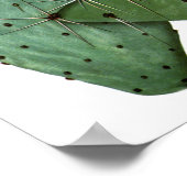 開花サボテンNo8ヴィンテージ自然史プリント ポスター (角)