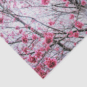 開花ツリーの分岐とさくらんぼ 薄葉紙 (詳細)