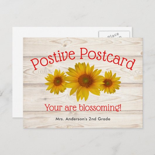 開花デイジー |学校の前向きニュース ポストカード (正面/裏面)