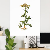開花ハーブヴィンテージ植物ポスター ポスター (ホームオフィス)