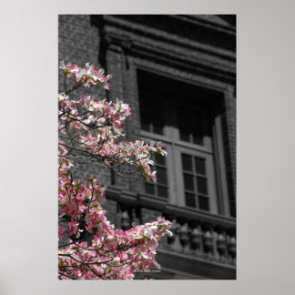 開花バルコニー ポスター