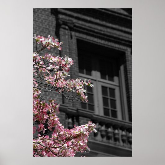 開花バルコニー ポスター (正面)