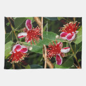 開花パイナップルグアバ キッチンタオル (横)