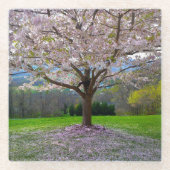 開花ピンクさくらんぼの森の花の木 ガラスコースター (正面)