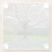 開花ピンクさくらんぼの森の花の木 ガラスコースター (裏面)