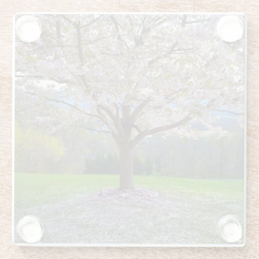 開花ピンクさくらんぼの森の花の木 ガラスコースター (裏面)