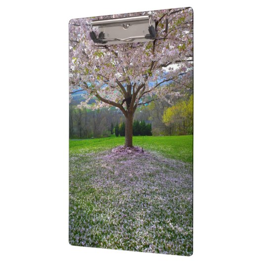 開花ピンクさくらんぼの森の花の木 クリップボード (左)