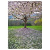 開花ピンクさくらんぼの森の花の木 クリップボード (裏面)