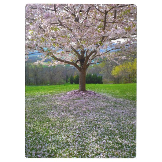 開花ピンクさくらんぼの森の花の木 クリップボード (裏面)