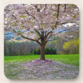 開花ピンクさくらんぼの森の花の木 コースター (正面)