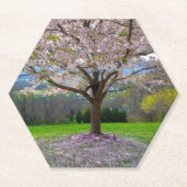 開花ピンクさくらんぼの森の花の木 ペーパーコースター (正面)