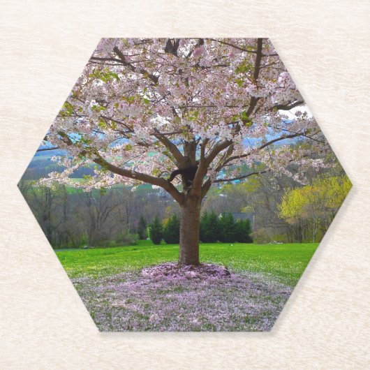 開花ピンクさくらんぼの森の花の木 ペーパーコースター (正面)