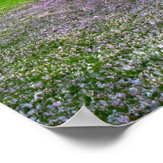 開花ピンクさくらんぼの森の花の木 ポスター (角)