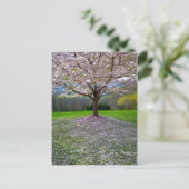 開花ピンクさくらんぼの森の花の木 ポストカード (スタンド正面)