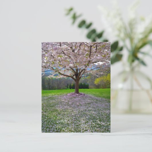 開花ピンクさくらんぼの森の花の木 ポストカード (スタンド正面)