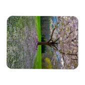 開花ピンクさくらんぼの森の花の木 マグネット (横)