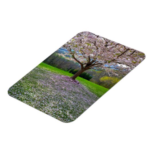 開花ピンクさくらんぼの森の花の木 マグネット (左側)