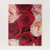 開花ピンク淡い色のと赤のバラ16x20 520ピース ジグソーパズル (縦)