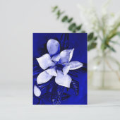 開花マグノリア ポストカード (スタンド正面)