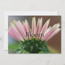 開花ライフスタイルグリーティングカード