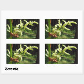 開花ルバーブ茎自然写真 長方形シール (シート)