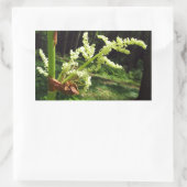 開花ルバーブ茎自然写真 長方形シール (バッグ)