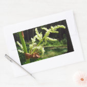 開花ルバーブ茎自然写真 長方形シール (封筒)